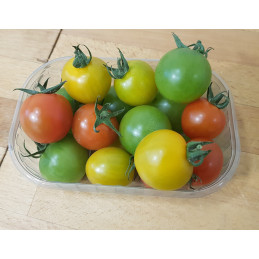 Tomate Cerise Pamiers bqt 250g