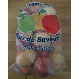 Pomme Sachet Gala 2k