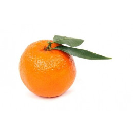 Mandarine