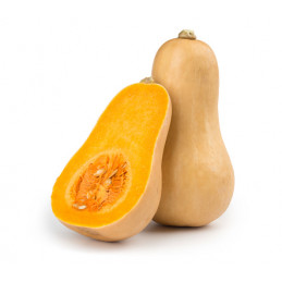 Butternut Bio