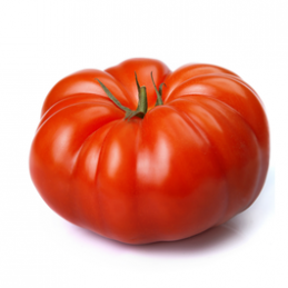 Tomate Marmande Pamiers