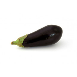 Aubergine