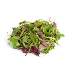 Mesclun vrac