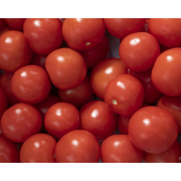 Tomate Cerise Vrac