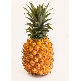 Ananas Victoria