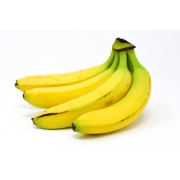 Banane Bio