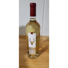 Vin Muscat de Noel