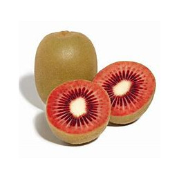 Kiwi Rouge