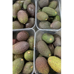 Avocat Bqt 1 kg