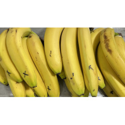 Banane Bio