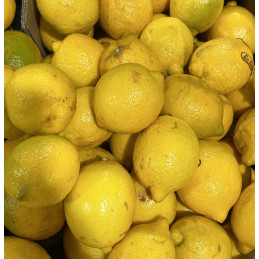 Citron