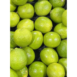 Citron Vert