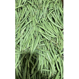 Haricot Vert