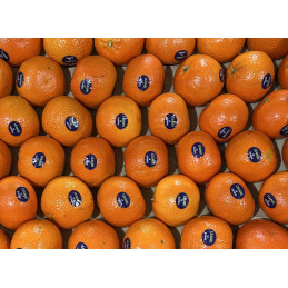 Mandarine Leanri