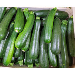 Courgette verte