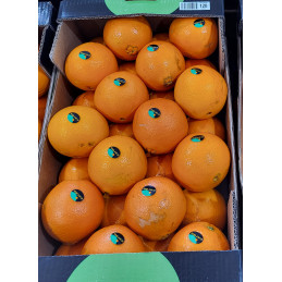 Orange Colis 10kg