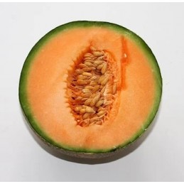 Melon Benac gros (cal 11)